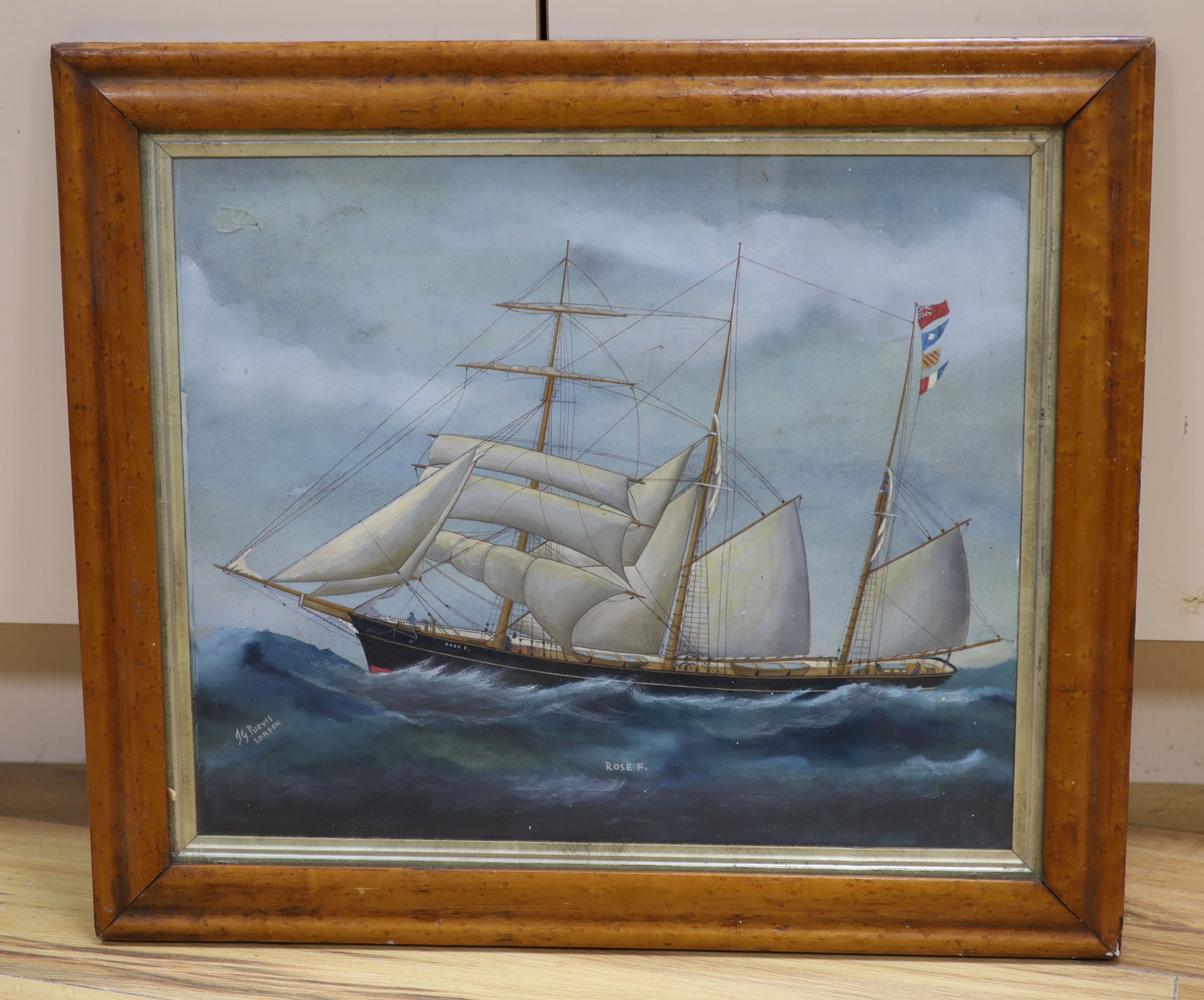 T.G Purvis, watercolour and gouache, The Barquetine Rose F, signed, 38 x 46cm